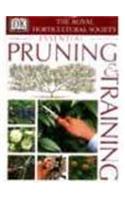 RHS Pruning and Training