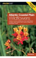 Atlantic Coastal Plain Wildflowers