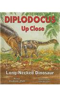 Diplodocus Up Close