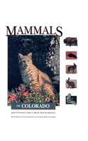 Mammals of Colorado