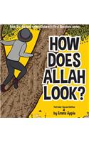 How Does Allah Look?