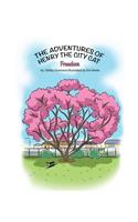 Adventures of Henry the City Cat