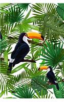 Tropical Toucans