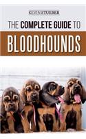 Complete Guide to Bloodhounds