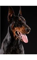 Doberman Pinscher Notebook: 8.5 x 11, College Ruled, 150 Pages for Elementary, Primary, Middle, High School or University For Dobie Fans