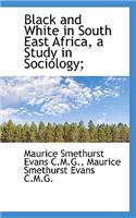 Black and White in South East Africa, a Study in Sociology;