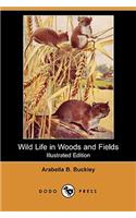 Wild Life in Woods and Fields (Illustrated Edition) (Dodo Press)