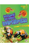 Endangered and Extinct Invertebrates