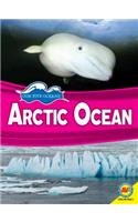 Arctic Ocean