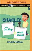 The Cat Flap and the Great Escape
