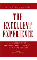 Excellent Experience: A Blueprint for Organizational, Team, and Individual Success