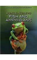 A Visual Guide to Fish and Amphibians: (Visual Exploration of Science)