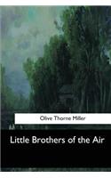 Little Brothers of the Air
