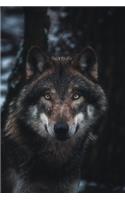 Wolf In The Wild 2020 Weekly Monthly Planner