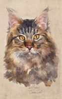 Maine Coon Cat Portrait Notebook: Blank Lined Journal for Cat Lovers, Cat Mom, Cat Dad and Pet Owners - 6x9 with College Ruled Pages(6 Watercolor Cat Journals)