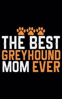 The Best Greyhound Mom Ever