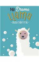 No Drama Llama Skectchbook