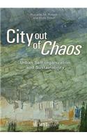 City Out of Chaos: Urban Self Organization and Sustainability(19 Sustainable World)