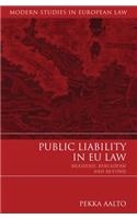 Public Liability in EU Law