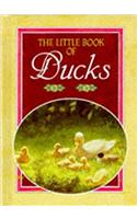 Little Book of Ducks (The Little Book Of...series)