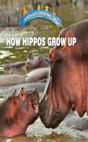 How Hippos Grow Up: (Animals Growing Up)