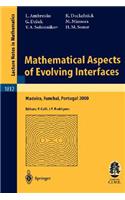 Mathematical Aspects of Evolving Interfaces