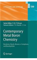 Contemporary Metal Boron Chemistry I