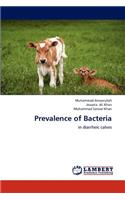 Prevalence of Bacteria
