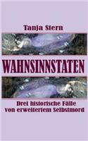 Wahnsinnstaten
