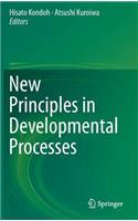 New Principles in Developmental Processes