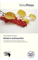 Berberis Actinacantha