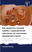 Как вырастить мочевой камень и подагричk