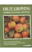Fruit Growing: Modern Cultural Methods