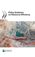 Policy Guidance on Resource Efficiency