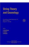 String Theory and Cosmology - Proceedings of the Nobel Symposium 127