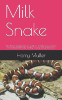 Milk Snake