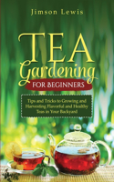 Tea Gardening for Beginners
