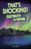 Electricity in Action That’S Shocking