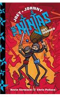 Joey and Johnny, the Ninjas: Get Mooned