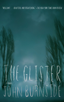 Glister