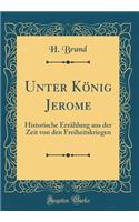 Unter KÃ¶nig Jerome: Historische ErzÃ¤hlung Aus Der Zeit Von Den Freiheitskriegen (Classic Reprint)