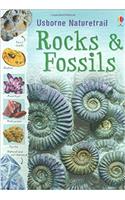 Rocks and Fossils