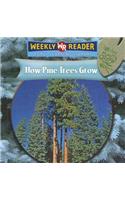How Pine Trees Grow: (How Plants Grow)