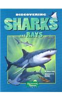 Discovering Sharks and Rays