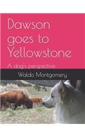 Dawson goes to Yellowstone