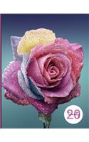 2020 Weekly Planner - Dot Grid - Pastel Rose