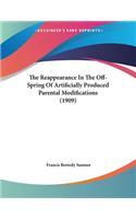 The Reappearance In The Off-Spring Of Artificially Produced Parental Modifications (1909)