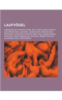 Laufvogel: Afrikanischer Strauss, Kiwis, Moa, Nandu, Emus, Nandus, Elefantenvogel, Kasuare, Helmkasuar, Grosser Emu, Zwergkiwi, H