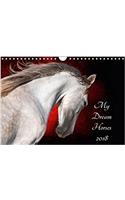 My Dream Horses 2018 2018