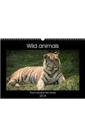 Wild Animals from Around the World 2018